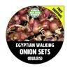 Egyptian Walking Onion Sets - Heirloom Red Bulbs, 10-100+ Count - Image 1