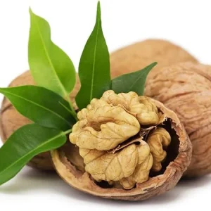 English Walnut Tree Live Plant 1-2 Ft, Cold Hardy, Dormant, for Garden - Image 1