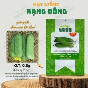 F1 Hairy Melon Seeds - Lemon Winter Melon Seeds (10 Seeds) for Planting - Image 2