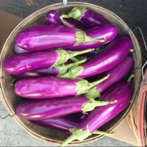 F1 Long Purple Eggplant Seeds - 30 Seeds for Planting | Vegetable Seeds - Image 3