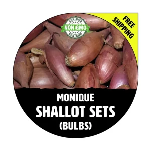 French Shallot Bulbs - Non-GMO, Semi-Long Multiplier Onions, Approx 125 Bulbs/lb - Image 1