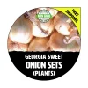 Georgia Sweet Onion Sets - Non-GMO Live Plant for Garden - Yellow/White Bulbs - Image 1