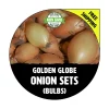 Golden Globe Yellow Onion Sets - Non-GMO Heirloom Bulbs - Image 1