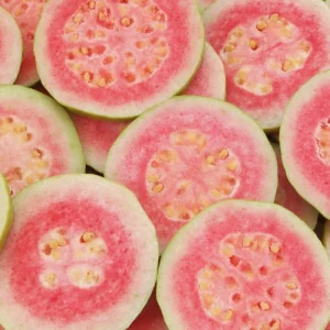 Grafted Ruby Guava Tree Live Plant - 3-4 Ft Tall, Ready to Bear Fruit - Image 6