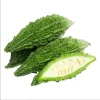Green Skin Bitter Gourd Seeds - 10 Seeds - Bitter Melon for Planting - Image 1