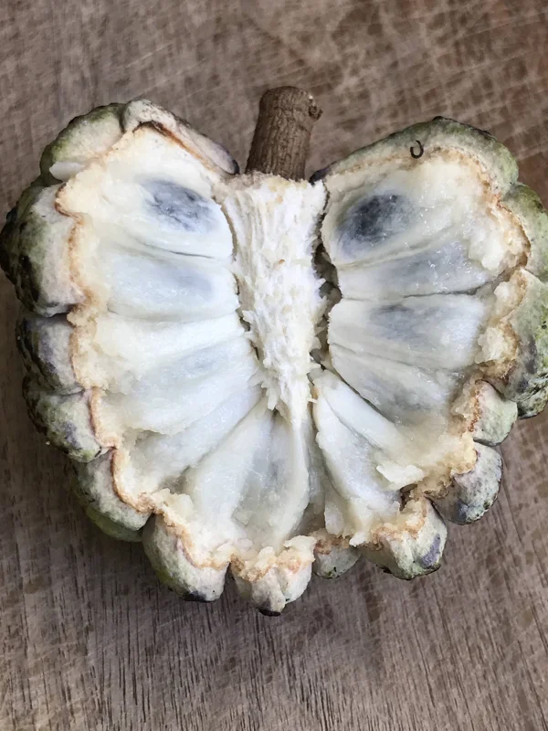 Green Sugar Apple Sweetsop Live Plant - Annona Squamosa Tropical Tree Starter, 4-7 inch tall, 2.5 inch pot - Image 5