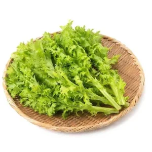 Green Wasabi Mustard Greens Seeds - 250 Seeds for Planting, Brassica Juncea - Image 3