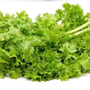 Green Wasabi Mustard Greens Seeds - 250 Seeds for Planting - Brassica Juncea - Image 6