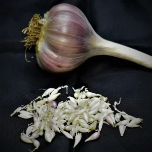 Hardneck Garlic Bulbils – Non-GMO Heirloom Seeds – Grow Garlic Bulbs & Cloves - Image 2