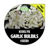 Hardneck Garlic Bulbils – Non-GMO Heirloom Seeds – Grow Garlic Bulbs & Cloves - Image 1