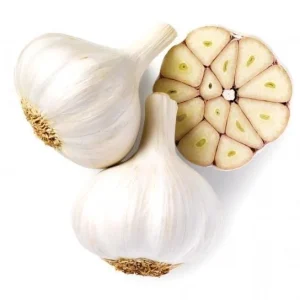 Hardneck Garlic Bulbs for Planting, 1 Pound, Heirloom White Garlic Tubers - Image 5