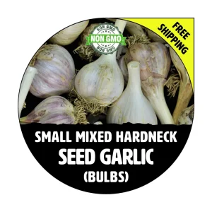 Hardneck Garlic Bulbs for Planting - Mixed Heirloom Varieties, Non-GMO Cloves - Image 1