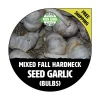 Hardneck Garlic Bulbs Mixed Varieties - Non-GMO Heirloom for Fall Planting - Image 1