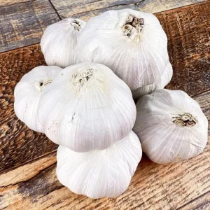 Hardneck Music Garlic Bulbs for Planting - 8 Count White Garlic Tubers - Image 1