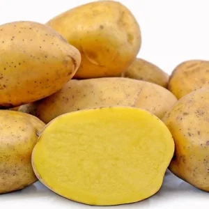 Heirloom Potato Seeds for Growing - 210 Mix Vegetable Seeds Live - Image 5