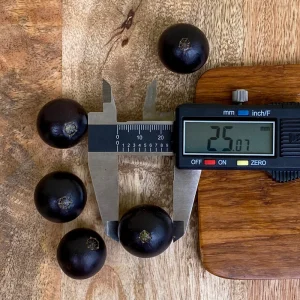 Jaboticaba Plinia Coronata Fruit Tree Live Plant, 3-5 inches tall, 2.5'' Pot - Image 4