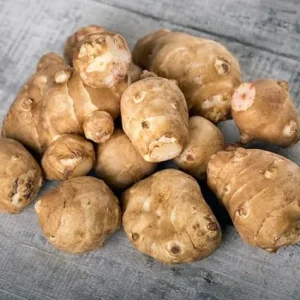 Jerusalem Artichoke Live Tubers - 5 Sunchoke Bulbs for Planting, Outdoor - Image 5
