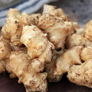 Jerusalem Artichoke Tubers for Planting – 0.5 LB Sunchokes – Perennial Vegetable - Image 5