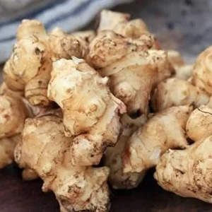 Jerusalem Artichoke Tubers for Planting – 0.5 LB Sunchokes – Perennial Vegetable - Image 6