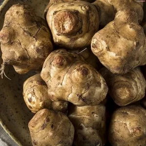 Jerusalem Artichoke Tubers for Planting - 1 LB Sunchoke Roots, Perennial - Image 3