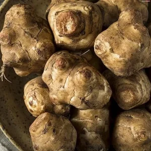 Jerusalem Artichoke Tubers for Planting - 1 LB Sunchoke Roots, Perennial - Image 4