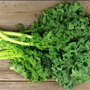 Kailaan Seeds - 500 Seeds - Big Stem Chinese Broccoli (Gai Lan) - Image 6