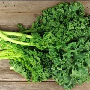 Kailaan Seeds - Chinese Broccoli Seeds for Planting - 500 Count - Image 6