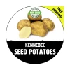 KENNEBEC Seed Potatoes - Spring, CERTIFIED Seed Potato - Non-Gmo Heirloom Plant Tuber Spud - Image 1