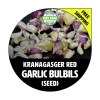 Kranagasger Red Hardneck Garlic Bulbils - Non-GMO Heirloom Seed - Grow Bulbs & Cloves - 50+ or 100+ Count - Image 1