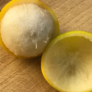 Lemon Drop Mangosteen Live Plant – Garcinia Intermedia Tree – 3-6 inch Starter Plant – Tropical Yellow Fruit - Image 2