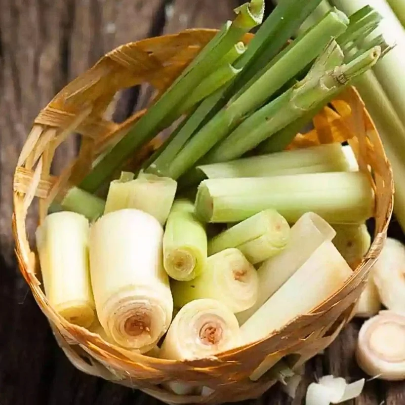 Lemongrass Live Plants, Set of 6, 4-8 Inch Stalks, Fresh Herbs for Container & Garden Growing - Image 6