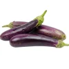 Long Purple Eggplant Seeds - 100 Seeds for Planting - Fresh Garden Seeds - Image 1