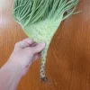 Mermaid Tail Succulent Live Plant - Unique Crested Senecio Succulent - Image 1