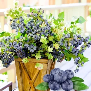 Misty Blueberry Plant Live for Planting, 4-7 inch, Cold Hardy Southern Highbush - Image 9