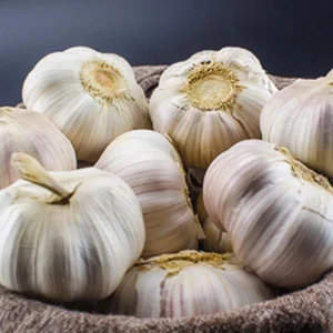 Mix Hardneck Garlic Bulbs for Planting – 1 Pound, High-Yield, Zones 3-10 - Image 10