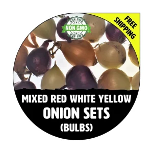 Mixed Onion Sets - Red, White, Yellow Bulbs for Planting - Image 1