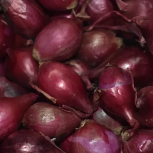 Mixed Onion Sets - Red, White, Yellow Bulbs for Planting - Image 3