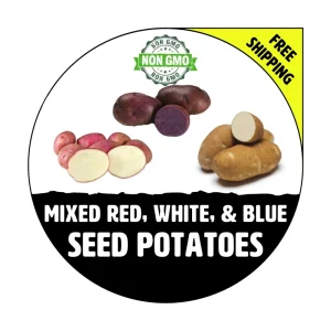 Mixed Red, White & Blue Certified Seed Potatoes - Non-GMO Heirloom Plant Tubers for Spring Planting - Image 1