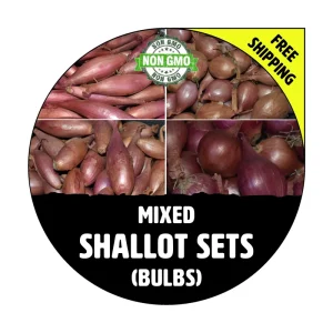 Mixed Shallot Bulbs for Planting - Non-GMO Garden Seed Shallots - French & Traditional Varieties, Semi Long Banana & Round Shapes - Image 1