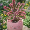 Mother of Thousands Live Plant – Kalanchoe daigremontiana – Pink Butterfly Plant – 1-3 inch cutting/rooted - Image 1