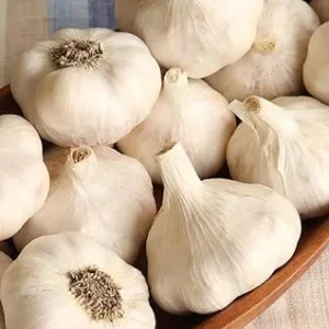 Music Garlic Bulbs for Planting – Hardneck Garlic – 4 Count – Outdoor Gardening - Image 6