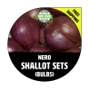 Nero Shallot Sets - Non-GMO Bulbs, Traditional Round Shape, Multiplier Onions for Planting - Image 1