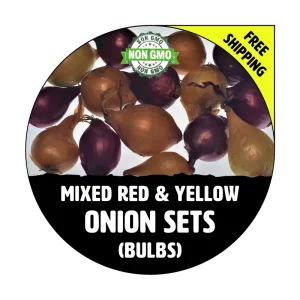Onion Sets Red & Yellow Bulbs - Non-GMO Heirloom Seed Onions for Planting - Image 1