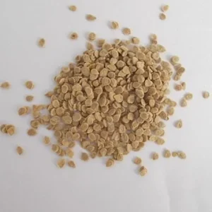 Orange Accordion Tomato Seeds - 25 Heirloom Seeds for Garden Planting - Image 6