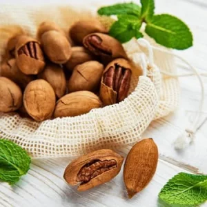 Pecan Tree Plants Live Bare Roots - 4 Pack, 1-2 Ft Tall, Hardy Nut Trees - Image 2