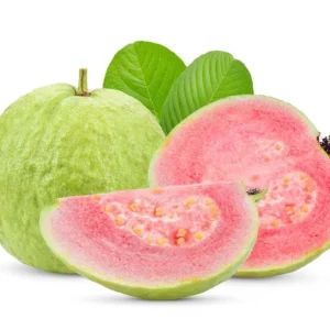 Pink Guava Tree Live Plant - Set of 2, 4-7 Inches Tall, Indoor/Outdoor - Image 3