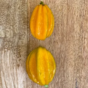 Pitangatuba 'Big Elongated Fruit' Star Cherry Live Plant - Eugenia Selloi Seedling 3-6'' Tall - Image 6