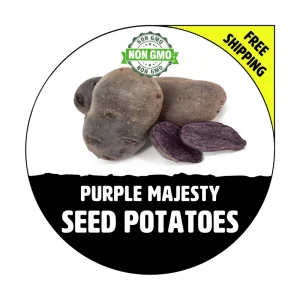 Purple Majesty Seed Potatoes - Non-GMO Certified Heirloom Plant Tubers - Image 1