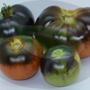 Purple Perfection Tomato Seeds - 30+ Non-GMO Heirloom Indeterminate Seeds - Image 2