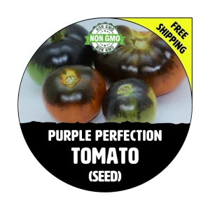 Purple Perfection Tomato Seeds - 30+ Non-GMO Heirloom Indeterminate Seeds - Image 1